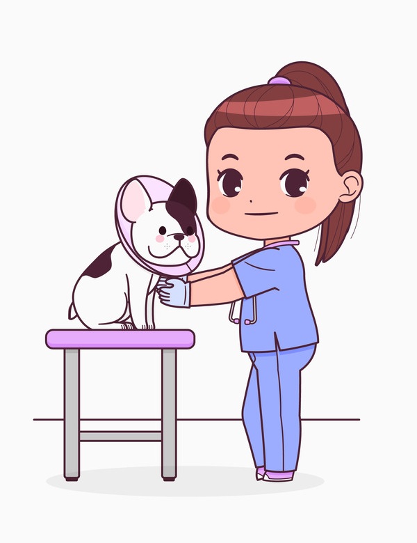 Manon, auxiliaire spécialisée vétérinaire en formation